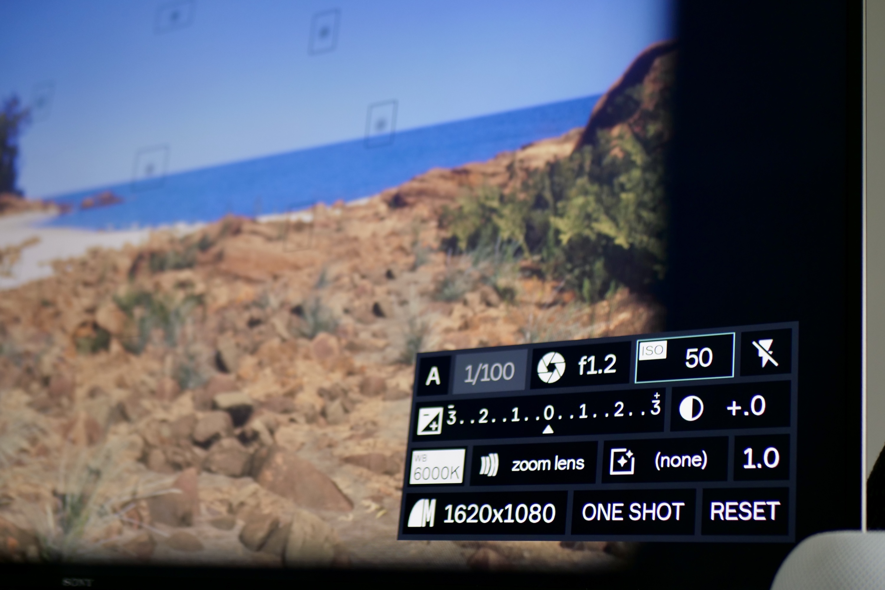 Manual control panel in Lushfoil Photography Sim.