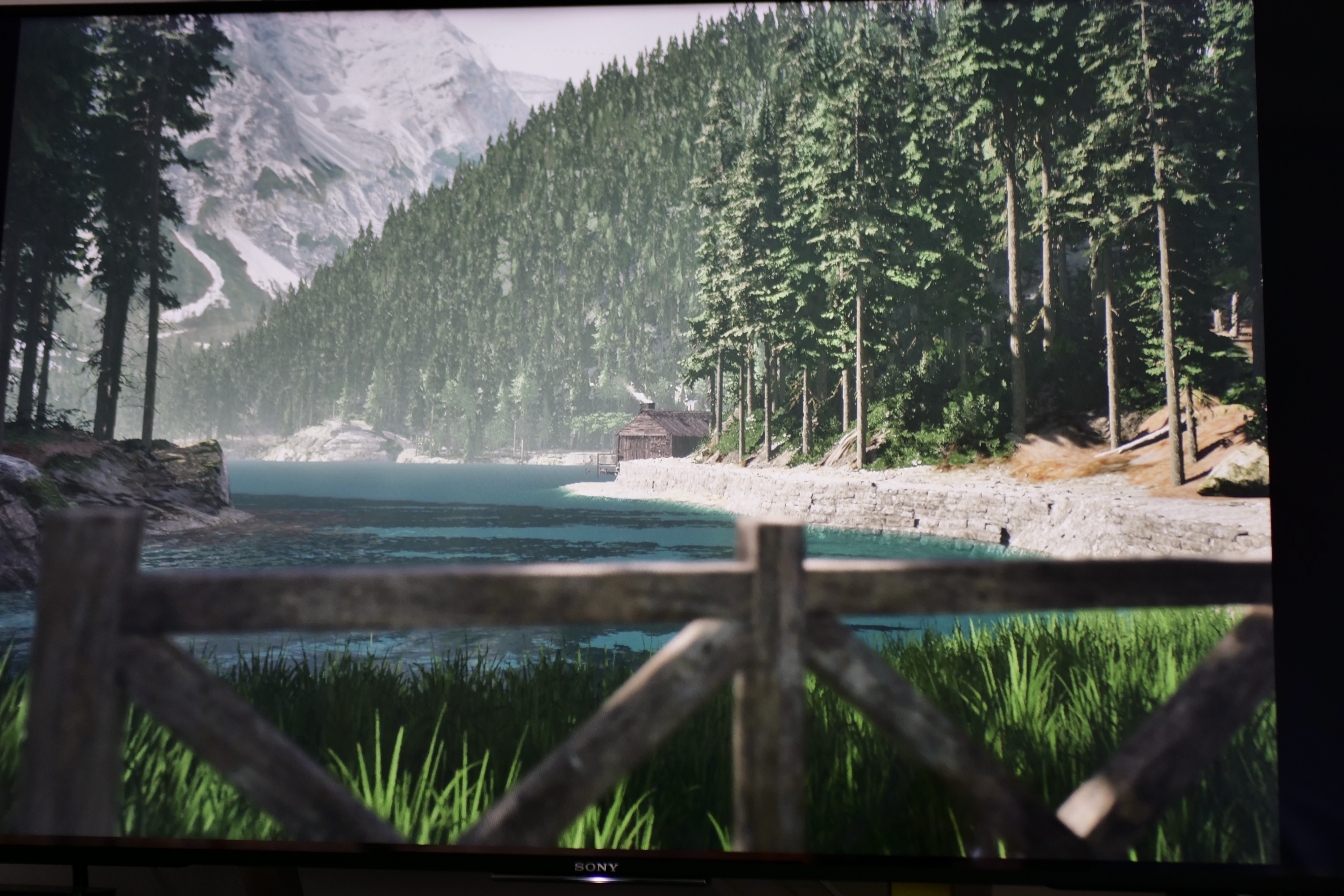 A photo taken in the Lushfoil Photography Sim game.