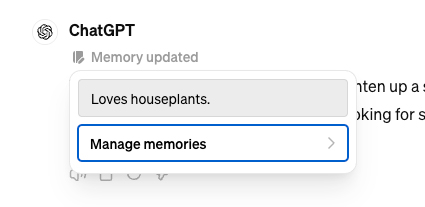 ChatGPT Plus Memory