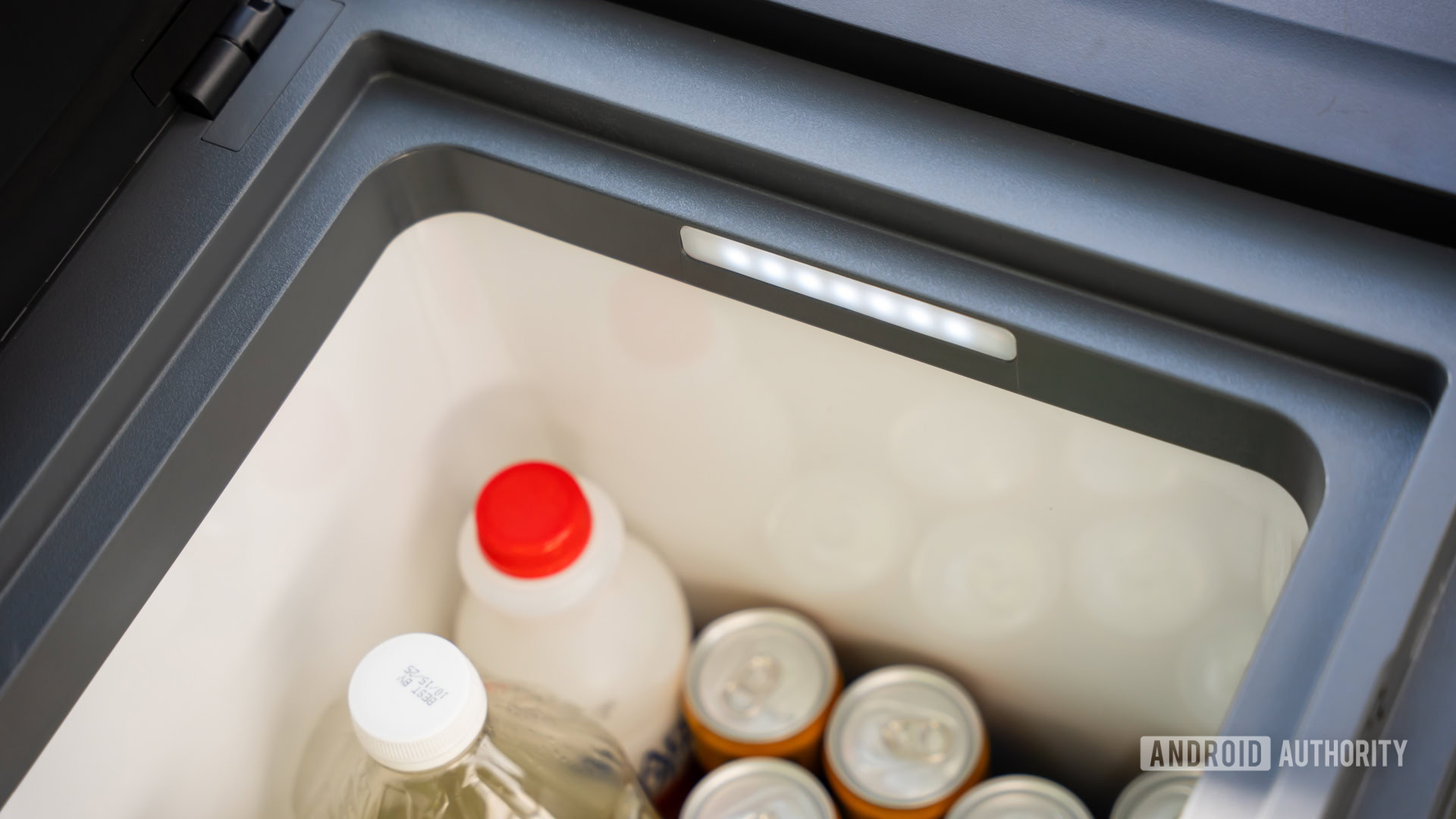 Anker SOLIX EverFrost 2 40L inside light