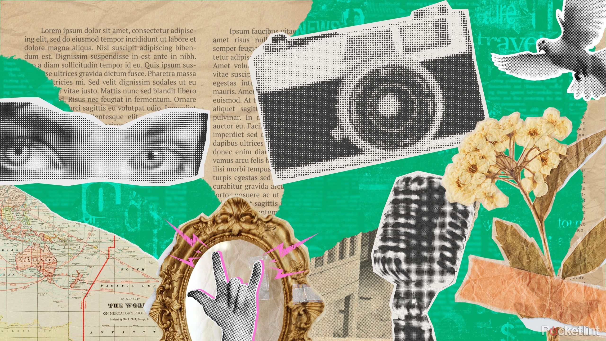 Kelsey's substack collage. 
