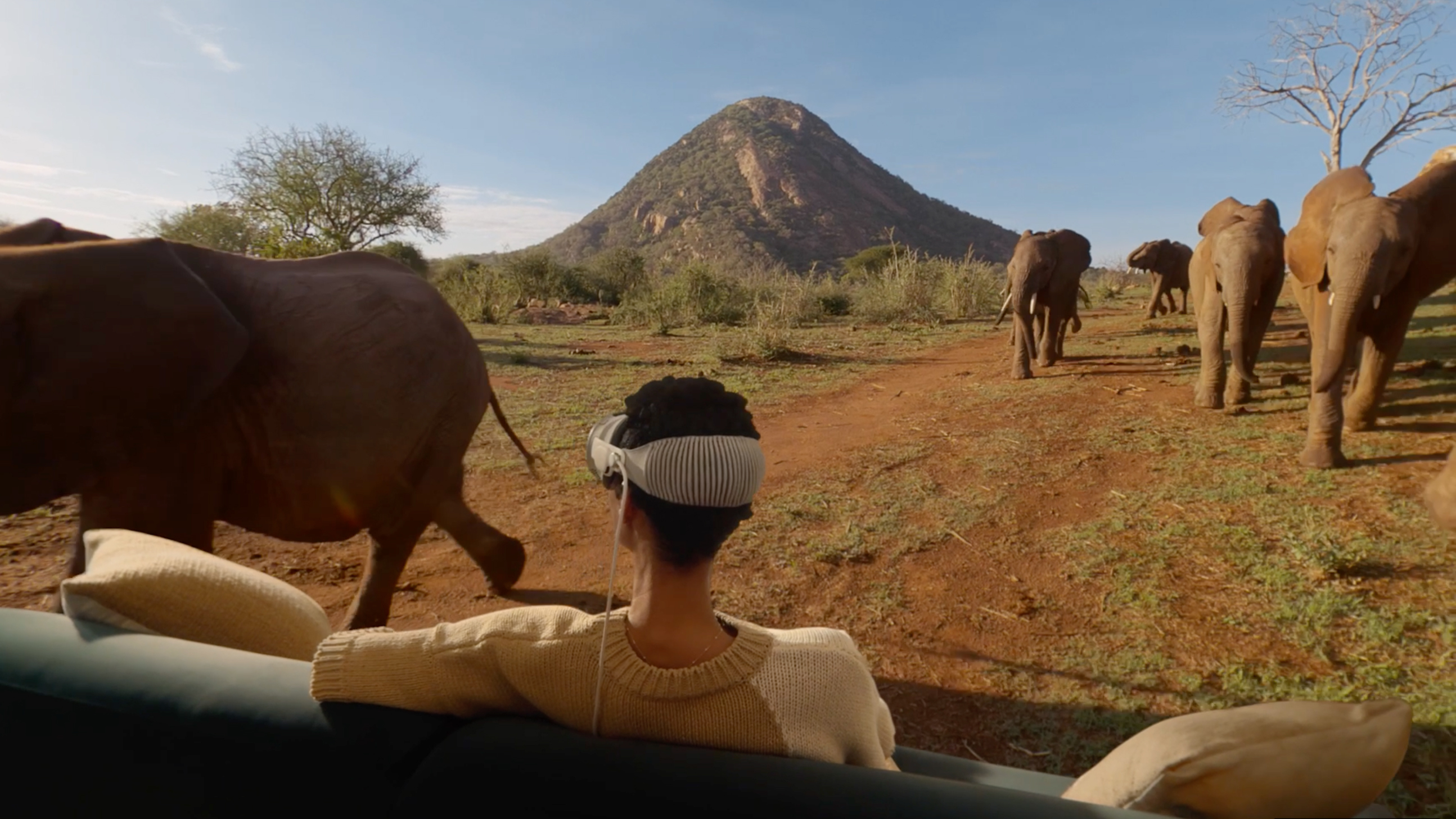 Someone watching a wildlife film wearing the Apple Vision Pro