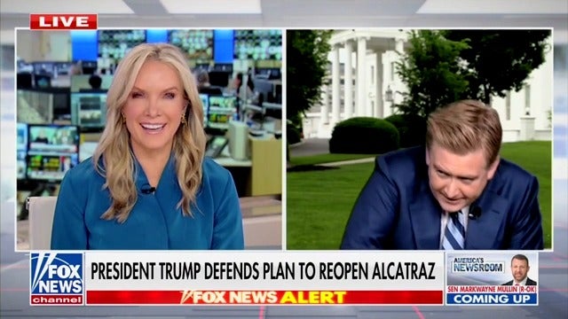 Peter Doocy ducks and dodges his second bird in the past month while reporting for Fox News.