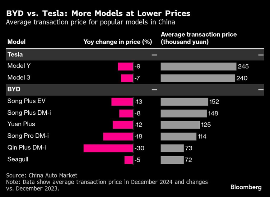 BYD vs Tesla Models