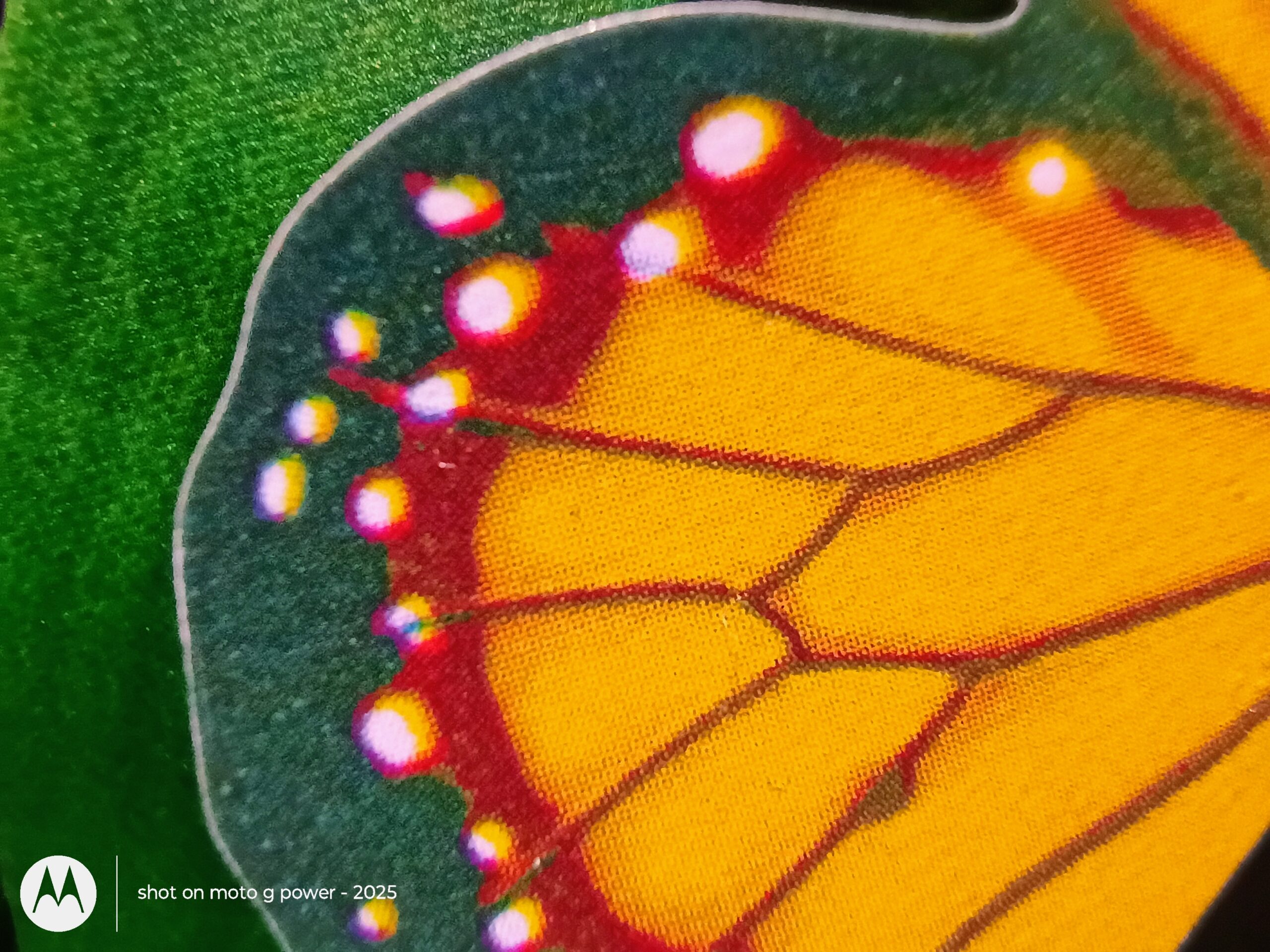 Moto G Power 2025 camera sample Macro mode