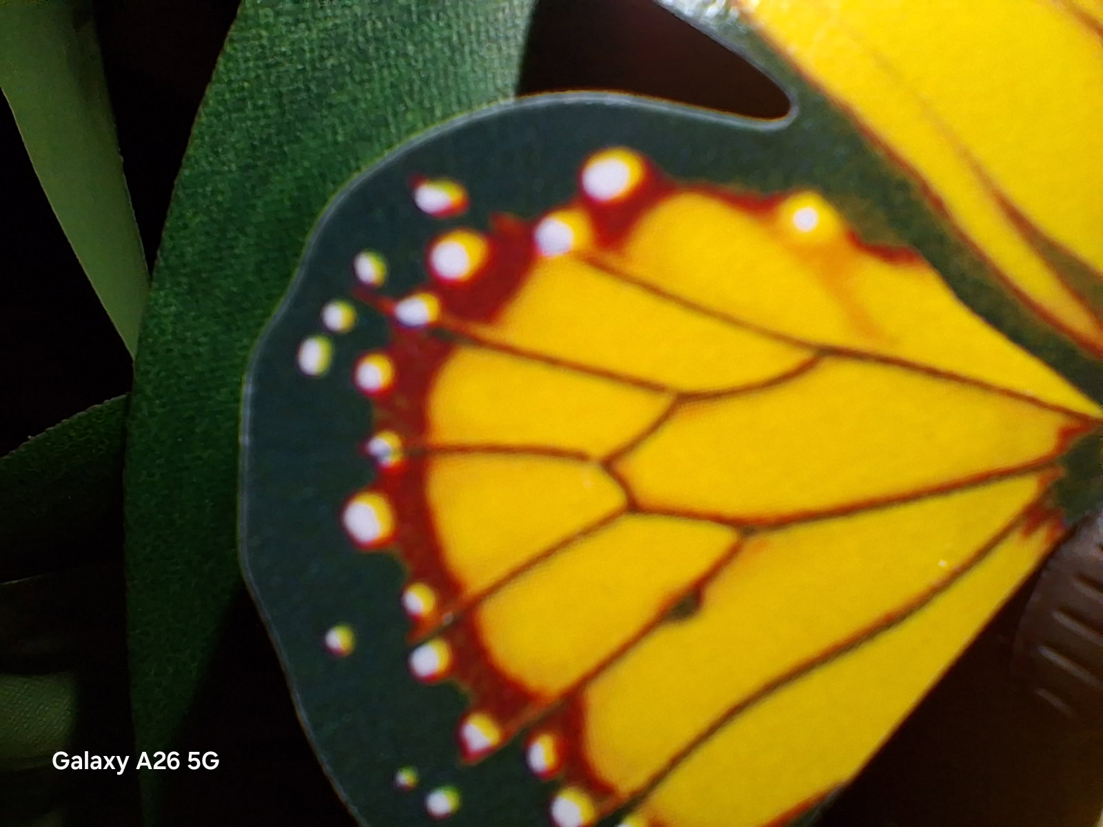 Samsung Galaxy A26 5G review camera sample Macro mode