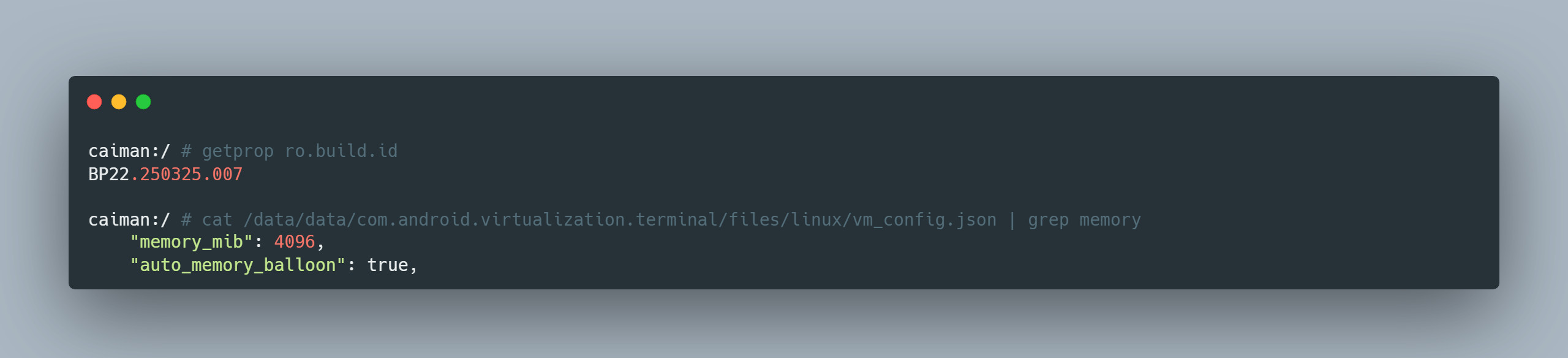 Memory allocated to Linux Terminal in Android Memory allocated to Linux Terminal in Android