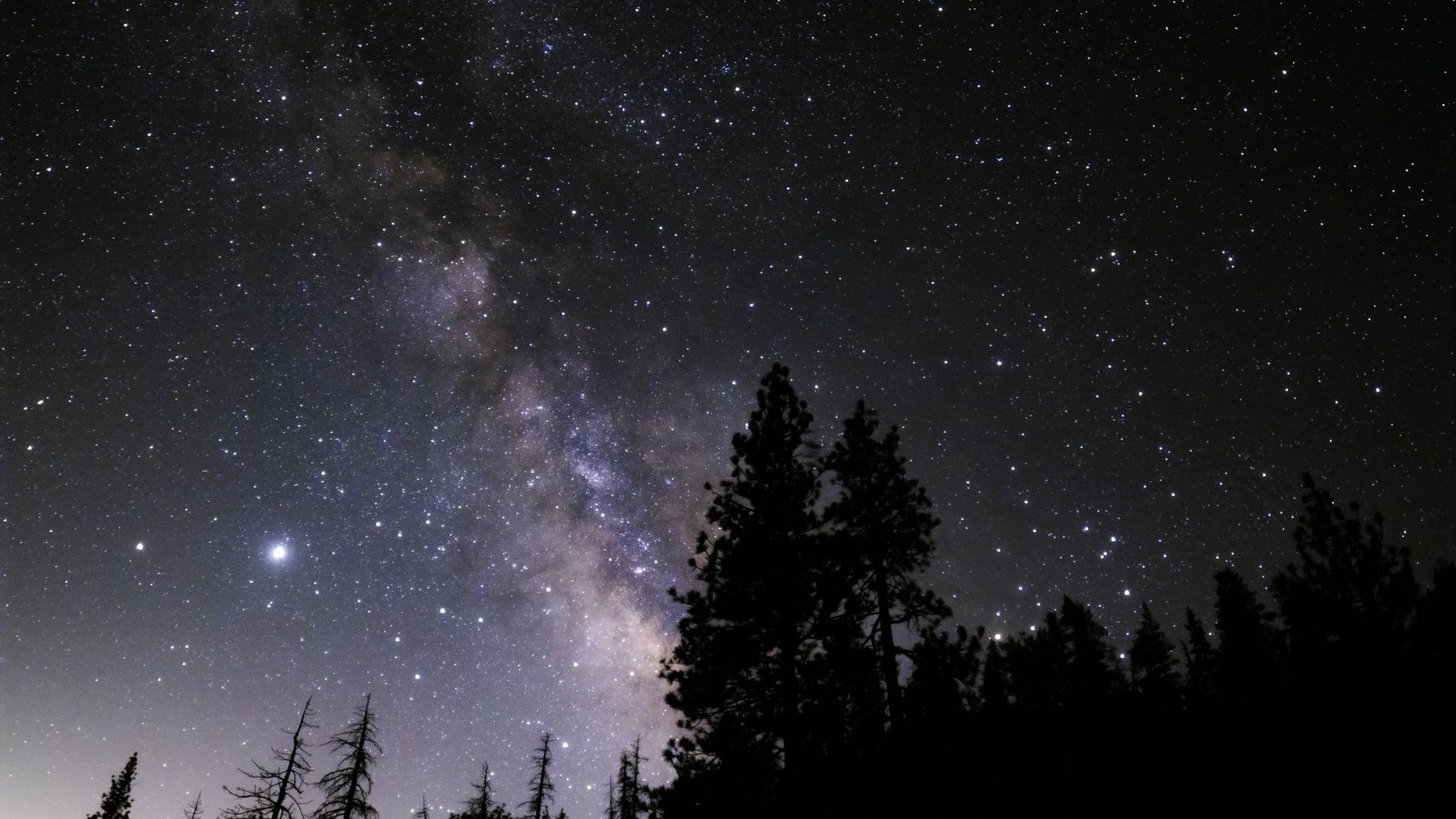 A view of the night sky.