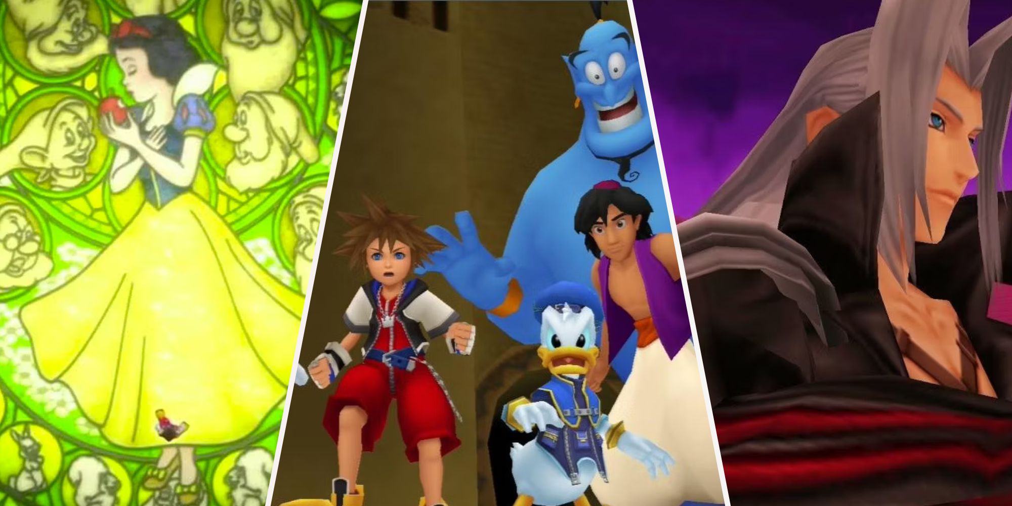A collage showing White Snow on the left, Sora, Donal, Aladdin, and Genie in the middle, and Sephiroth on the right.
