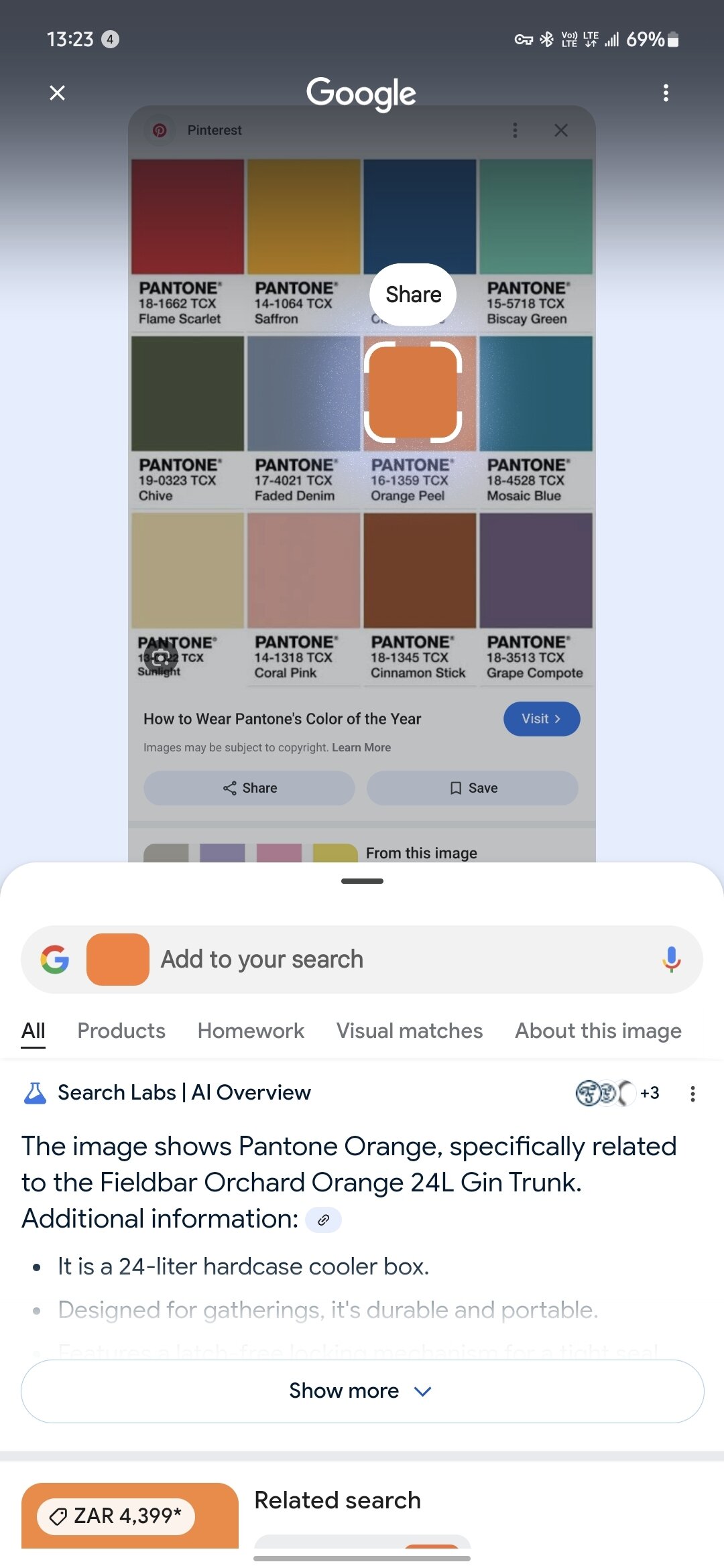 circle to search pantone test 1