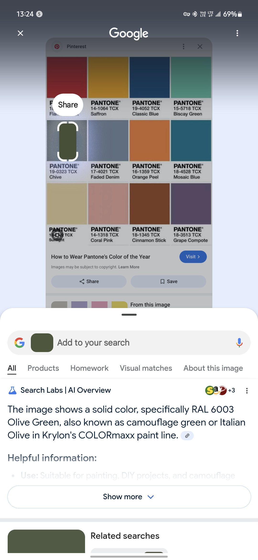 circle to search pantone test 2