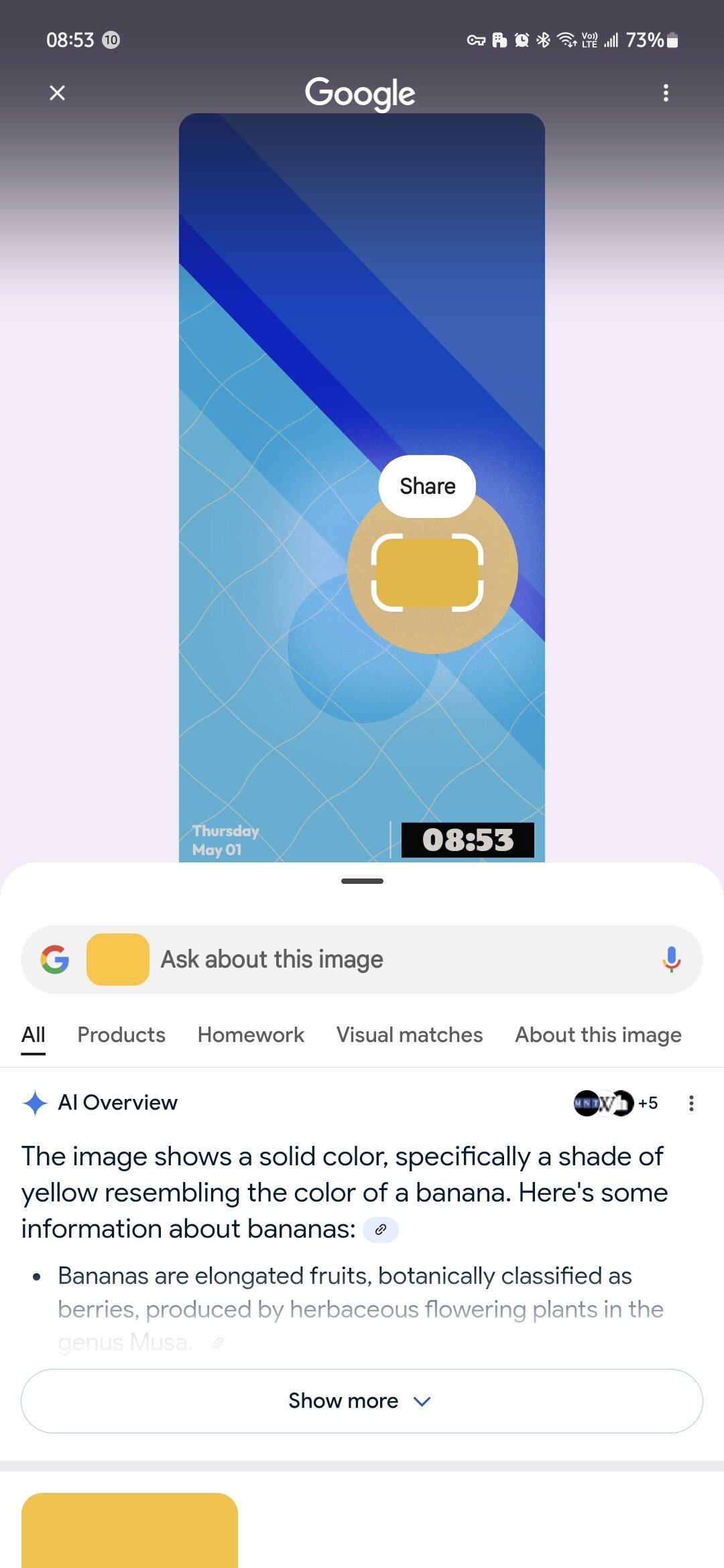 circle to search wallpaper color test 1