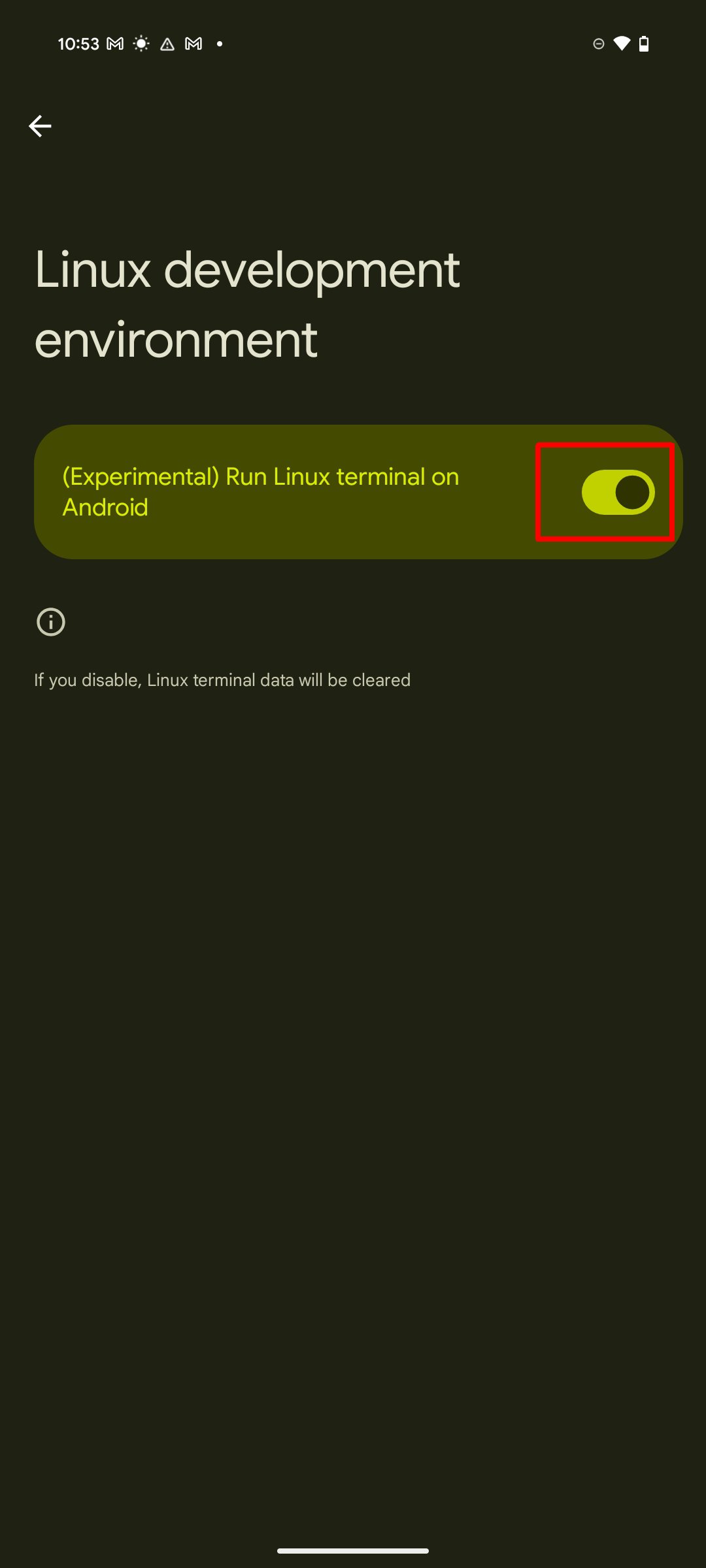 enable terminal app on pixels step 5