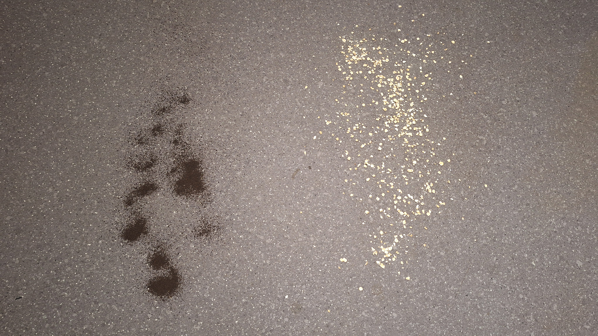 Tea and oats on a lino floor before suction test