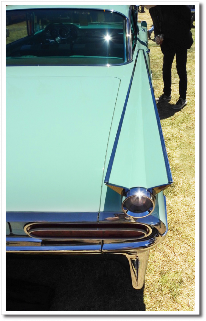 Bonneville Fin