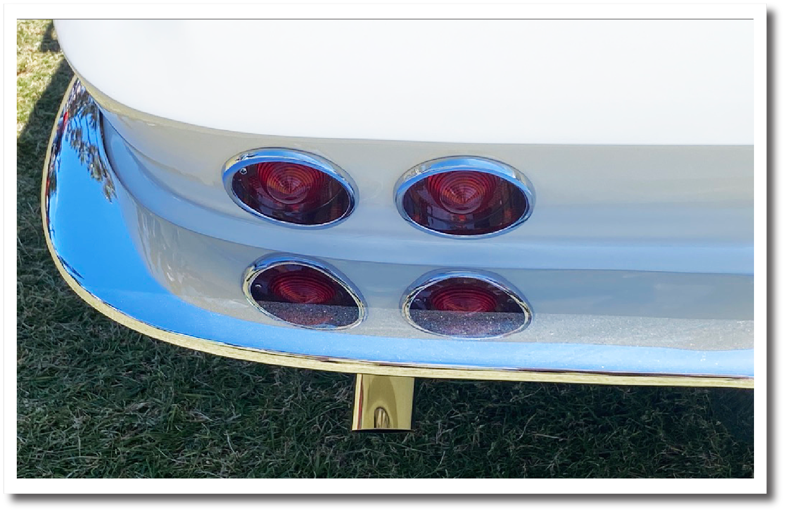 Stingray