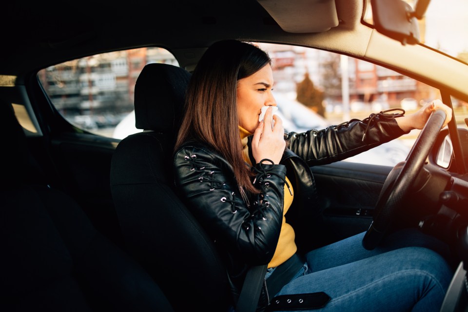 Woman driving a car and holding a tissue to her nose.