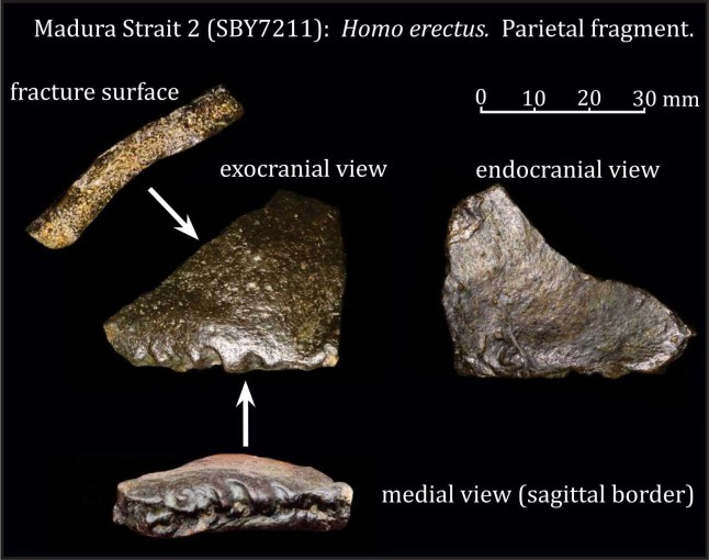 14744379 Evidence of ancient underwater world inhabited by humans 140,000 years ago discovered deep in ocean