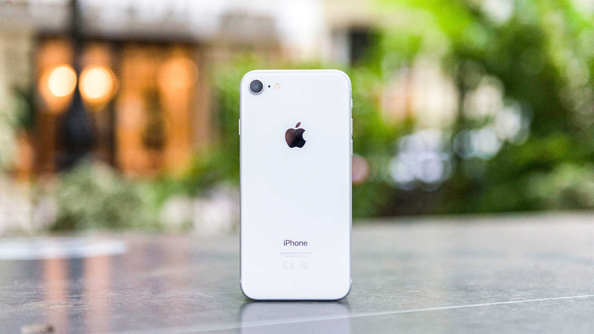 The iPhone 8