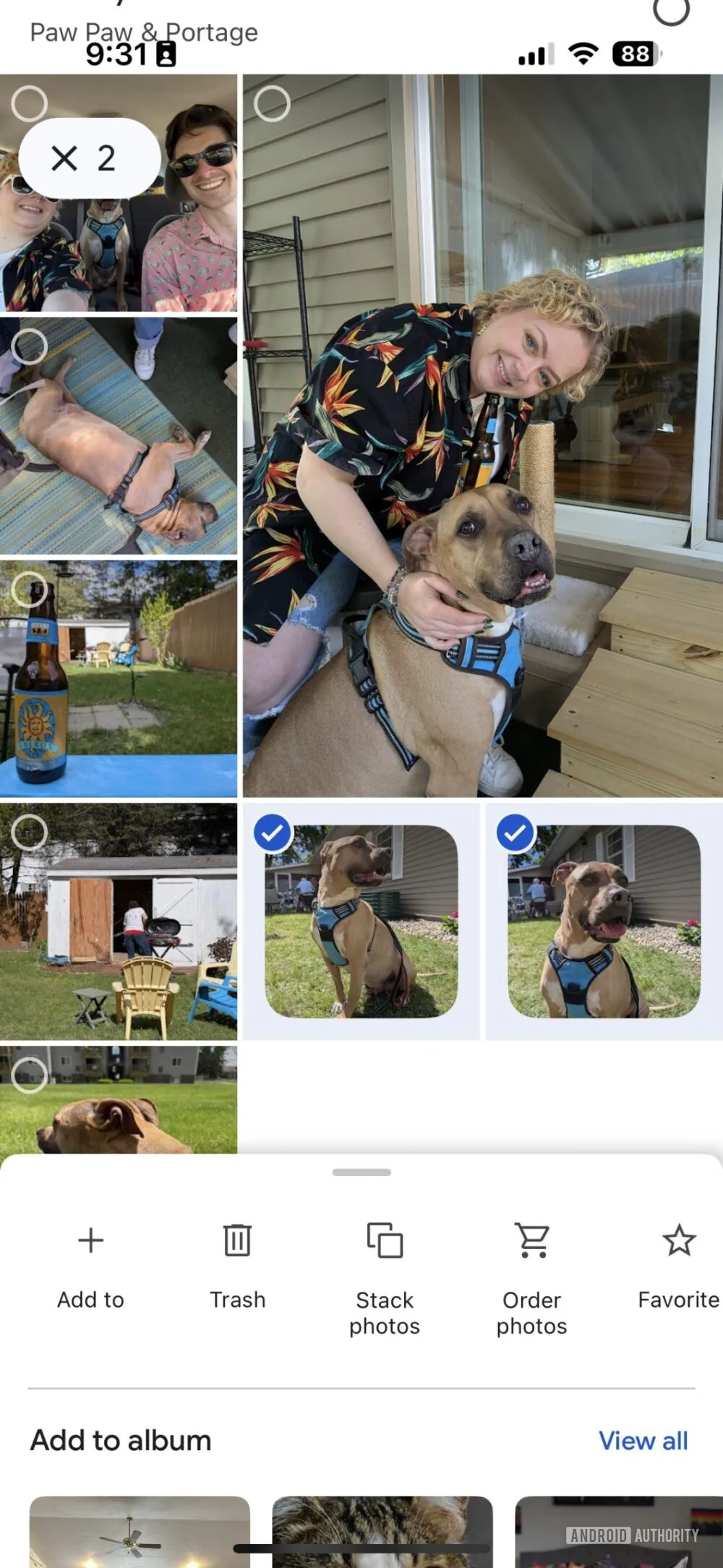 Google Photos stacks