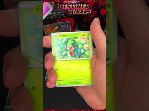 Recent Videos