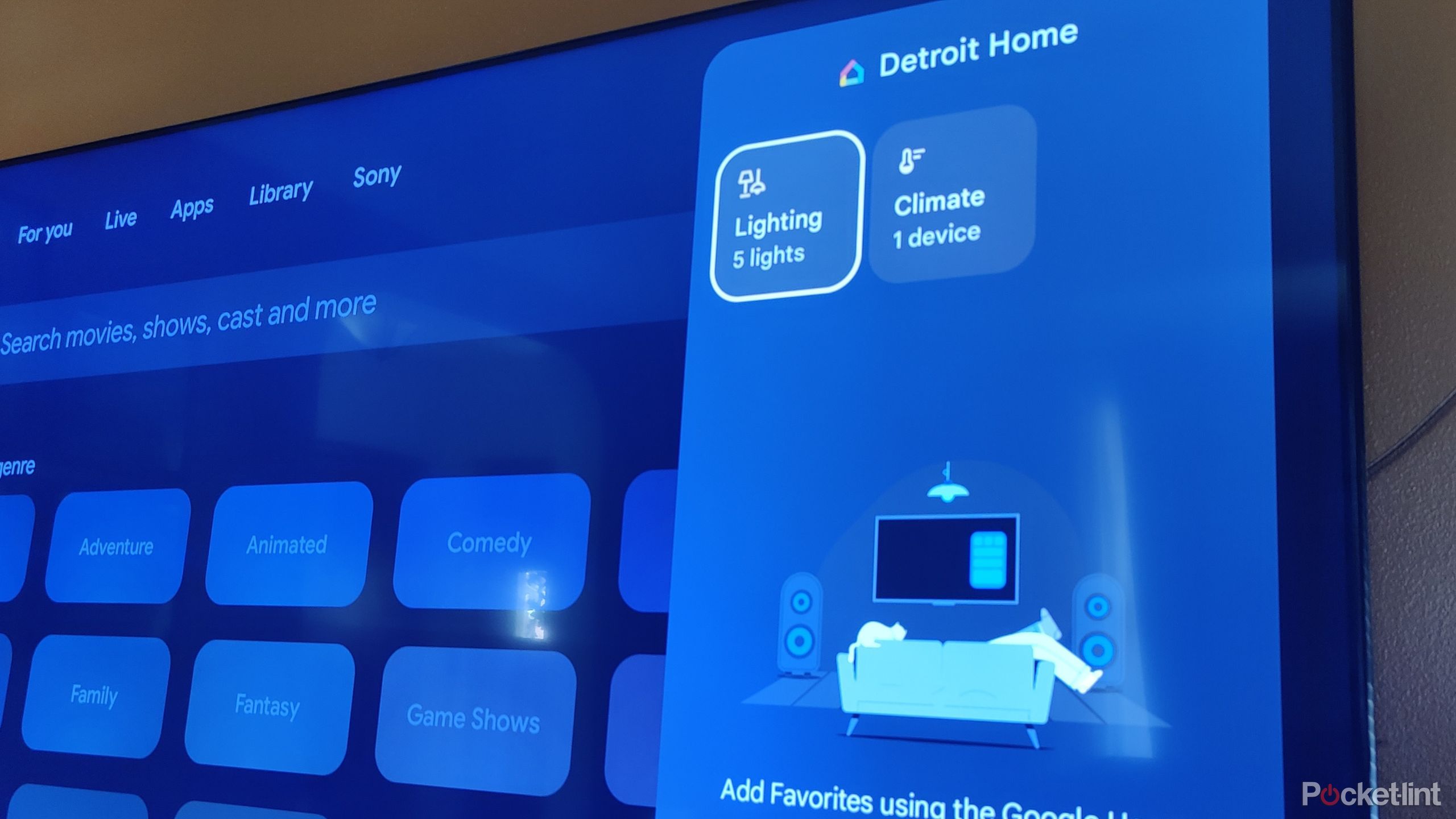 Google Home Panel