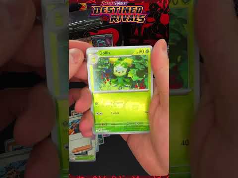 Recent Videos