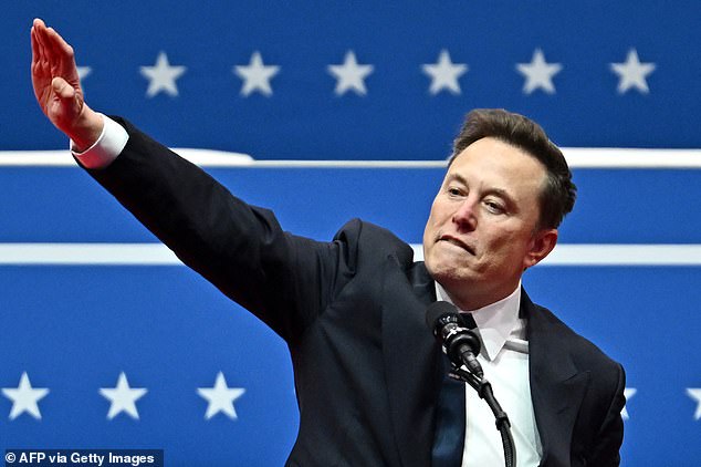 Toxic: Consumers are angry at Tesla boss Elon Musk's role in Donald Trump's administration and have been boycotting the electric car firm