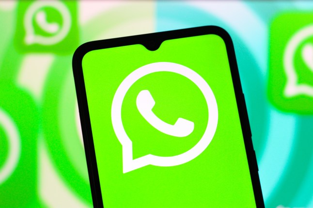 WhatsApp logo on a smartphone screen