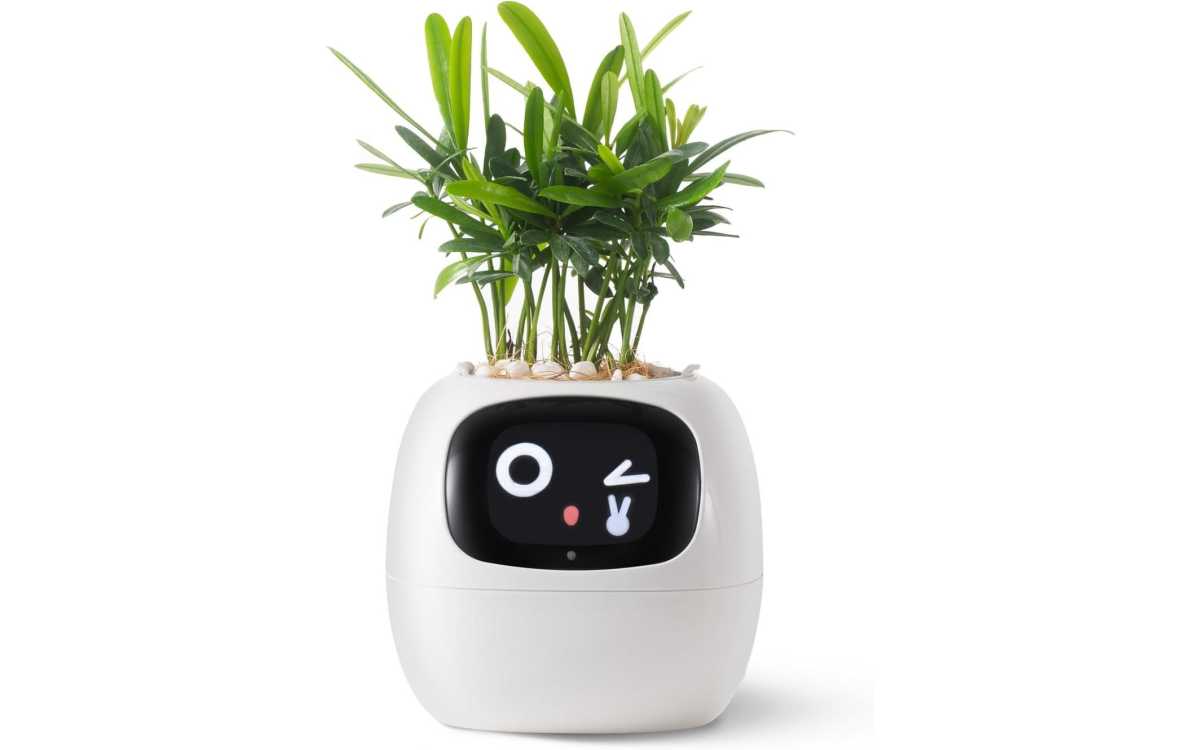 Plantsio smart pet planter