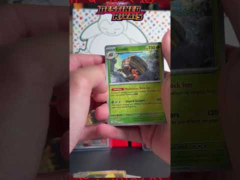 Recent Videos